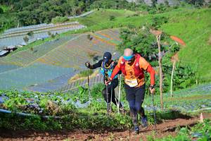 BIB: 
                            <button type="button" onclick="openModal(13380887)" class="btn btn-primary btn-sm float-right btn-popup" data-toggle="modal" data-target=".modal-high-quality">
                        <i class="fas fa-shopping-cart"></i> Add to Cart
                    </button>
                                            <button type="button" onclick="isThisMe(13380887, true)" class="btn btn-success btn-sm float-right btn-popup btn-isme hidden" data-toggle="tooltip" data-placement="bottom" title="นี่คือรูปของคุณใช่ไหม คลิกที่นี่เพื่อเอาเข้าอัลบั้ม">
                        <i class="fas fa-plus"></i> Add to album
                    </button>
                    <button type="button" onclick="isThisMe(13380887, false)" class="btn btn-warning btn-sm float-right btn-popup btn-isnotme hidden">
                        <i class="fas fa-ban"></i> Remove from album
                    </button>